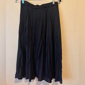 Pleated Skirt